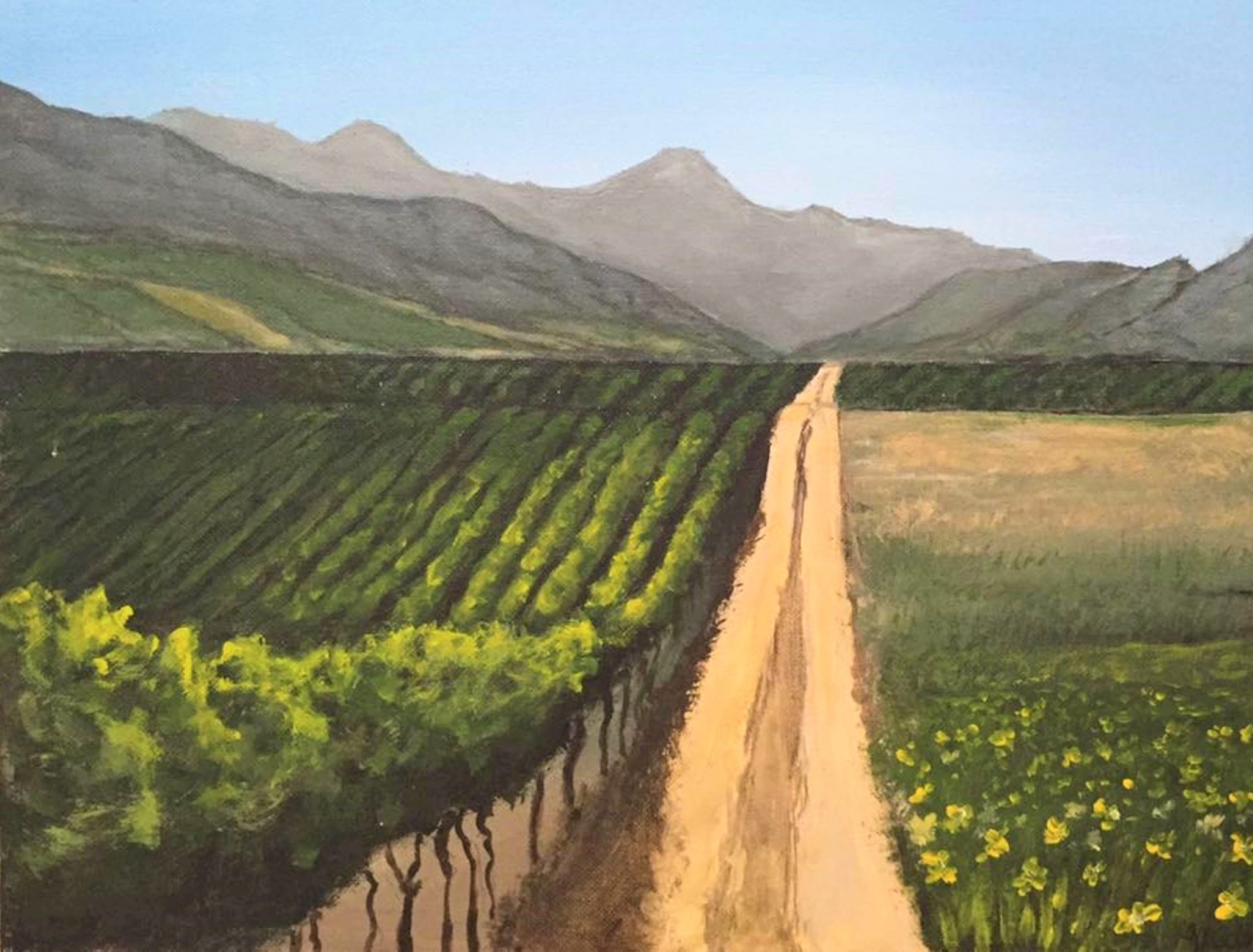 Vineyard stroll