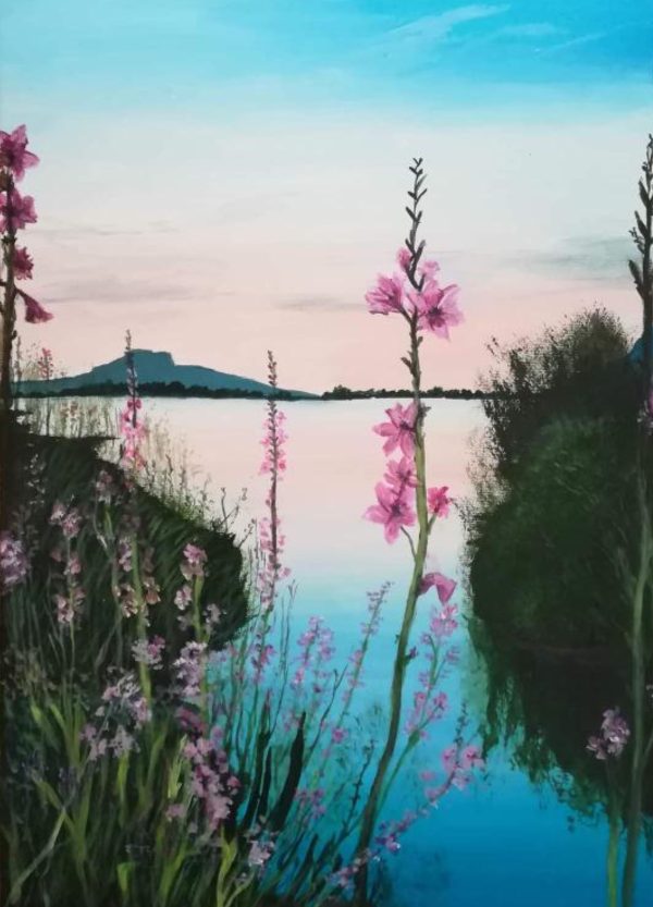 Franshoek Reflections (Original)