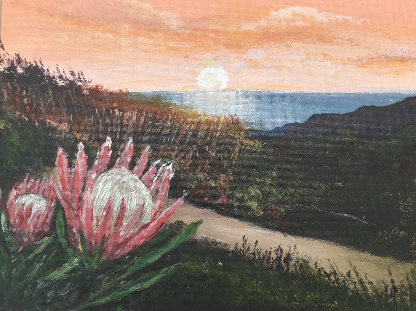 Sunset Protea