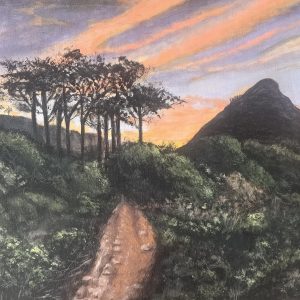 Pipetrack
