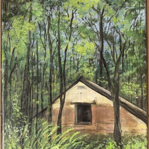 The shed at Newlands Forest