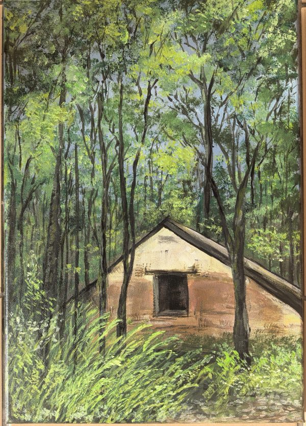 The shed at Newlands Forest